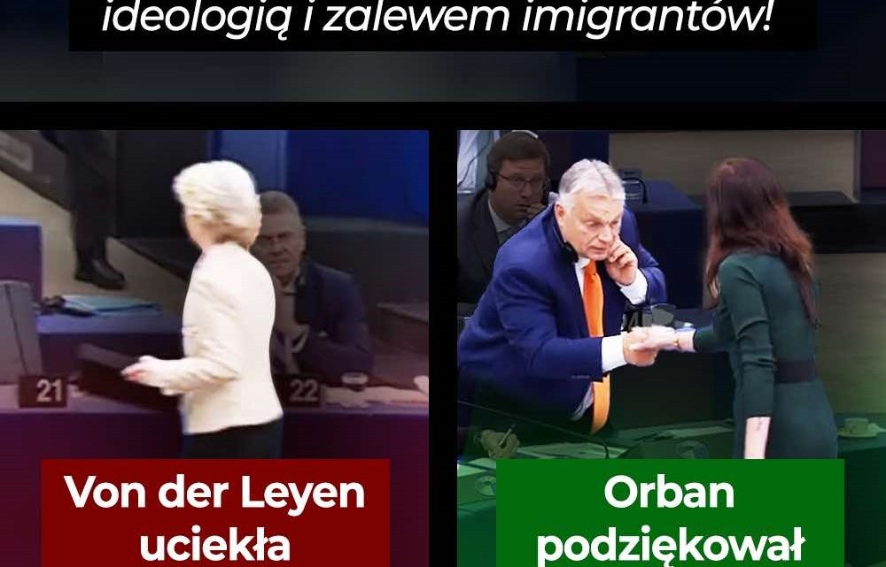 Ewa Zajączkowska: niech lewicowi eurokraci uciekają, a dominują normalność, bezpieczeństwo i tradycyjne wartości!